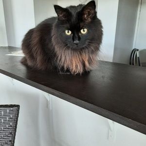 Meet your Posher, Nancy